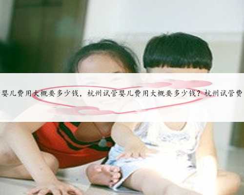 杭州试管婴儿费用大概要多少钱，杭州试管婴儿费用大概要多少钱？杭州试管费