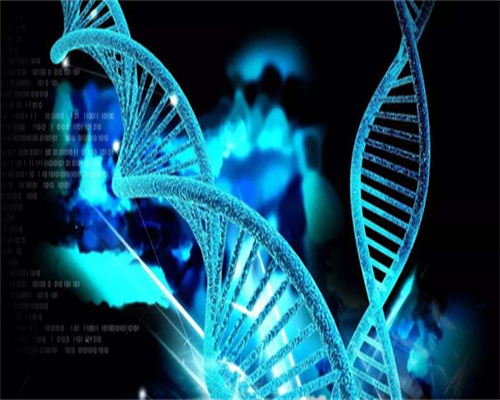 包成功代孕网,精子正常率3%男性需重视，严重程度可致不育