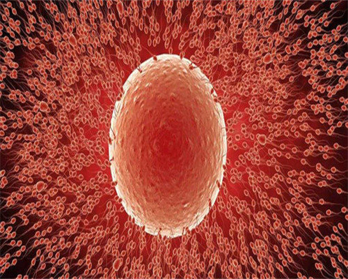 真心找私人代孕,试管生宝宝需花多少钱？