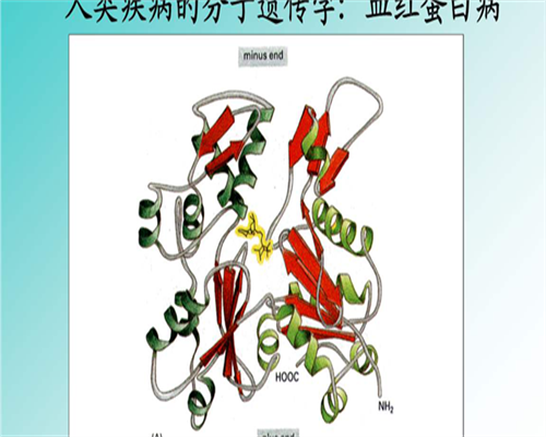 宫颈癌对生育有什么影响？