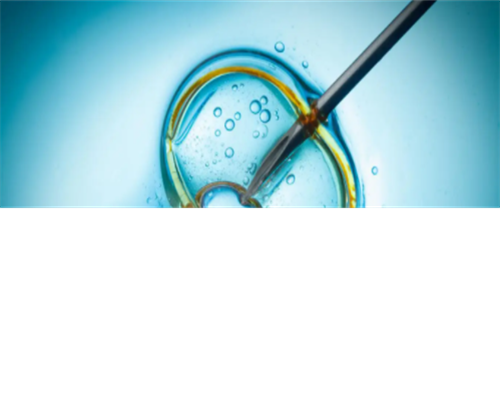 广东借卵包成功,卵巢破裂
						