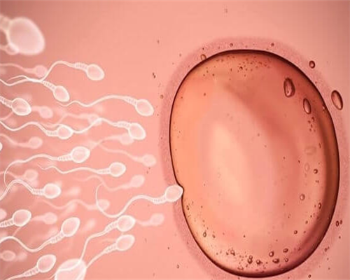 子宫腺肌症做几代试管好,子宫腺肌症只能做三代试管吗