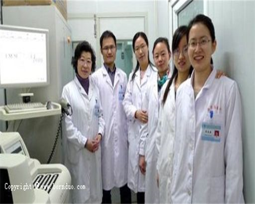 产子代生价格胚胎级别划分，产子代生价格的胚胎等级划分标准是什么