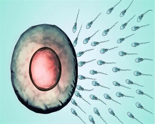 人工授精是从阴道注射吗，人工授精是打到子宫里吗