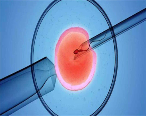 代孕哪家比较可靠_试管代孕费用表,试管婴儿检查流程步骤安排明细！