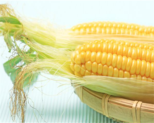 2026张掖输卵管太窄能不能做三代试管？张掖不孕不育指南