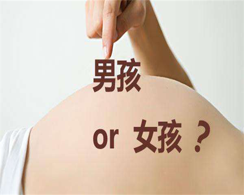 试管干货！快速学会看自己的胚胎等级