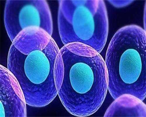 借卵包男孩,做试管要花多少钱？