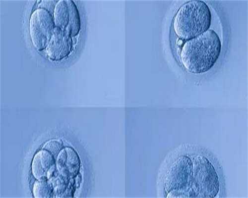 那里有私人招代孕，国内三代试管婴儿费用多少,乙脑疫苗接种方法大有讲究，