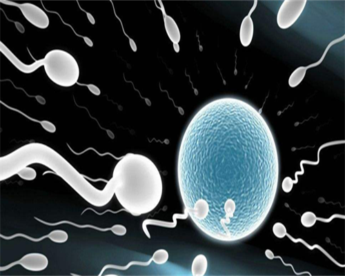 泰国供卵代生妈妈可信吗！供卵代生妈妈价格表！