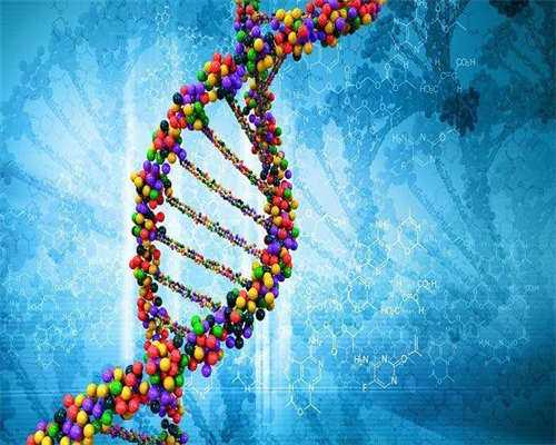 试管促排卵需要休息几天[试管移植后休息几天]