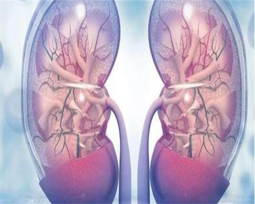 2026邯郸助孕借卵代生子三代借卵代生子