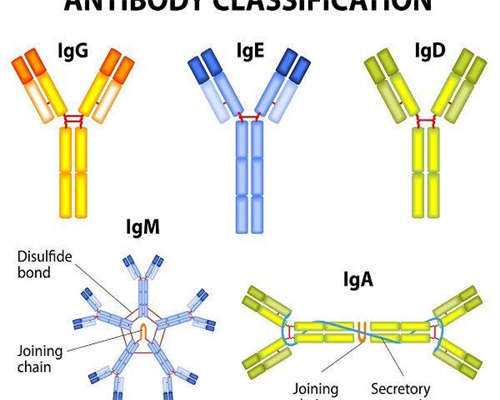 代孕包生男孩多少费用,多囊人过来的大实话，都看过来！