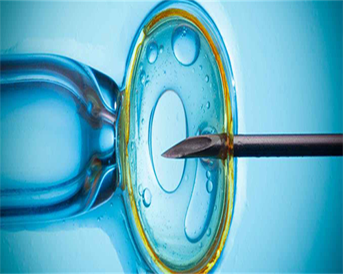 成都代孕哪家正规好,2026成都妇幼保健院试管婴儿指南，费用参考及成功率排名