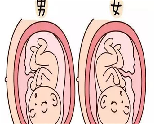 试管检查染色体多少钱，试管婴儿检查染色体多少钱