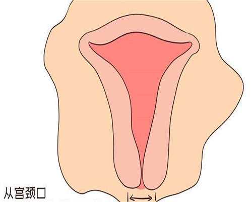 试管婴儿医院哪家好点(试管婴儿医院排名前十)