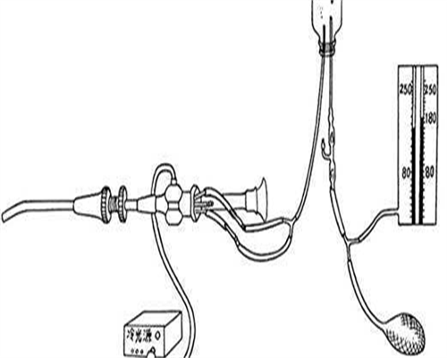 试管精子差能成功吗